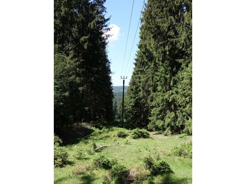 Foto 134